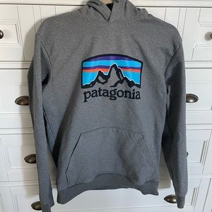 Patagonia **new never worn** mens grey hoodie